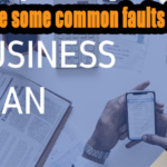 What are some common faults in a business plan?